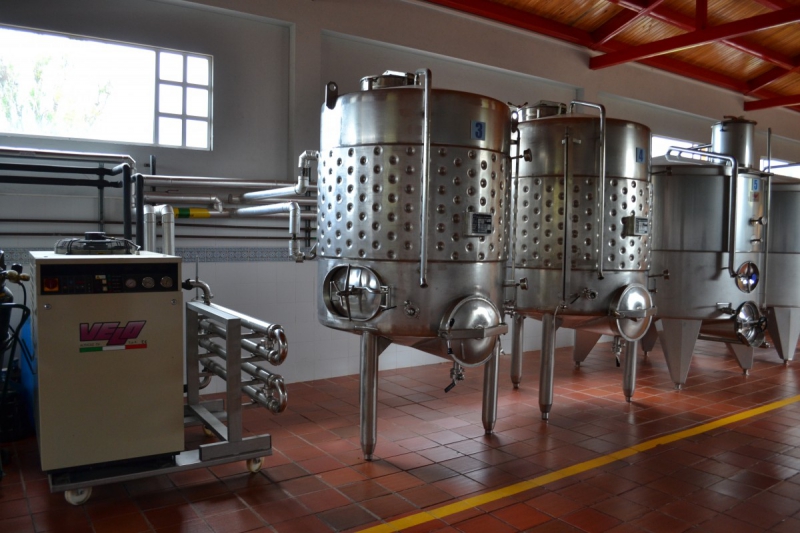 cave-ROUBION-min_wine_production_cantine_winery_drink_alcohol_vine_beverage-902036